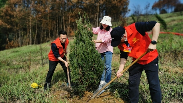  双龙镇新时代文明实践所开展“我为祖国植10棵树”活动